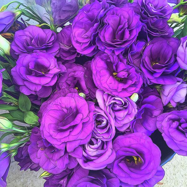 Лизиантус кичест лилав - Lisianthus double purple