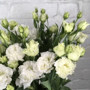 Лизиантус кичест бял сапфир - Lisianthus white double